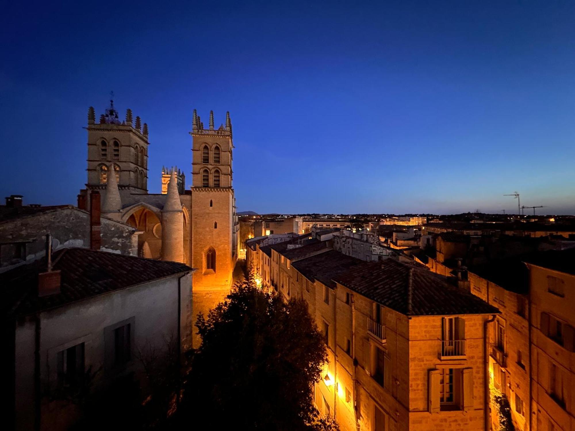 Ferienwohnung La Terrasse, Vue Sur Les Toits De Montpellier Exterior foto